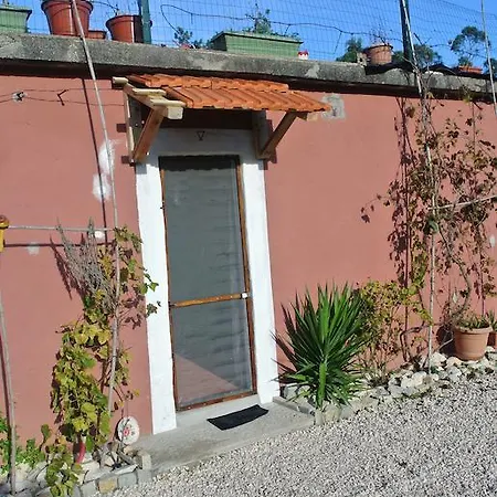 לינה וארוחת בוקר Vila Colina